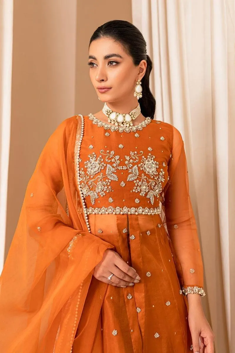 Allure by Ih - COCO - Organza - Burnt Orange - 3 Piece