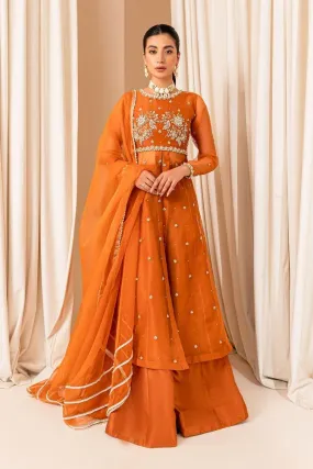 Allure by Ih - COCO - Organza - Burnt Orange - 3 Piece